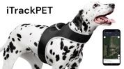 Efficient Pet Tracking w/ GPS GSM Realtime Waterproof Portable Tracker Size:XXL