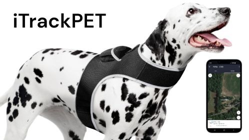Efficient Pet Tracking w/ GPS GSM Realtime Waterproof Portable Tracker Size:XXL