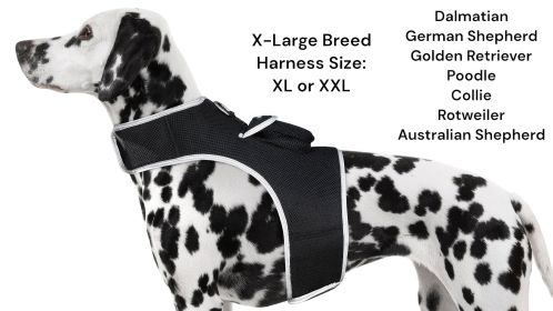 Easy to Use USB Rechargeable Mini GSM GPS Pet Location Tracking Device Size:XXL