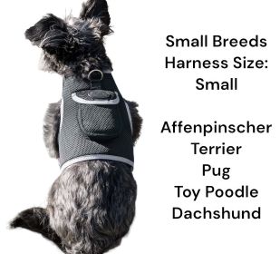 Efficient Portable Realtime Mini GPS Pet Tracker GPRS GSM Tracking Sys Size:XXL