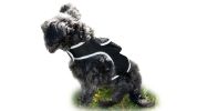 Efficient Pet Tracking w/ GPS GSM Realtime Waterproof Portable Tracker Size:XXL