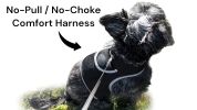 Economical GPRS GSM Pet Tracking Waterproof Realtime GPS Pet Tracker Size:XXL