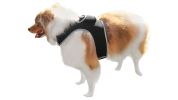 Easy to Use USB Rechargeable Mini GSM GPS Pet Location Tracking Device Size:XXL