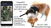 Easy Setup Mini Realtime GPS Pet Tracker Waterproof Tracking Device Size:XXL