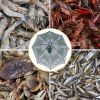 Portable Folded Fishing Bait Trap Fishing Trap Net